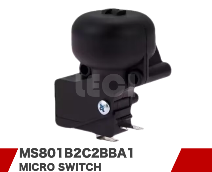 MS801B2C2BBA1