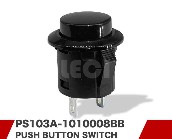PS103A-1010008BB