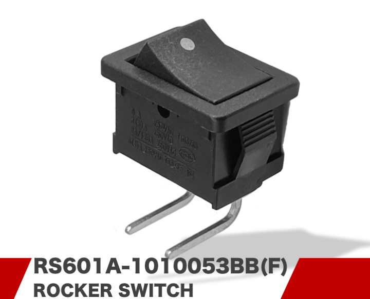 RS601A-1010053B(F)