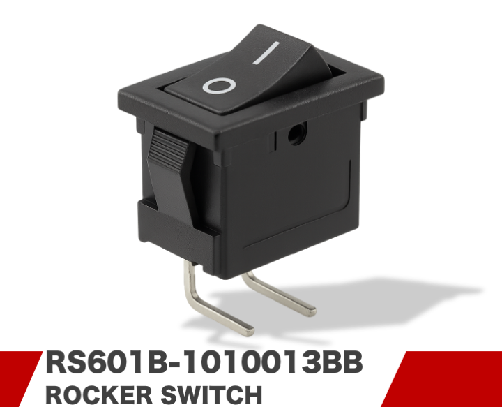 RS601B-1010013BB