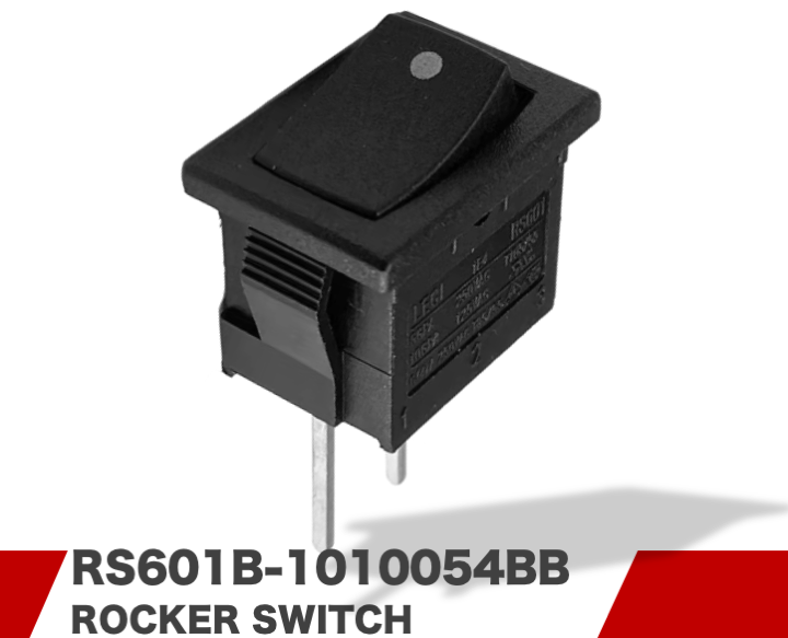 RS601B-1010054BB