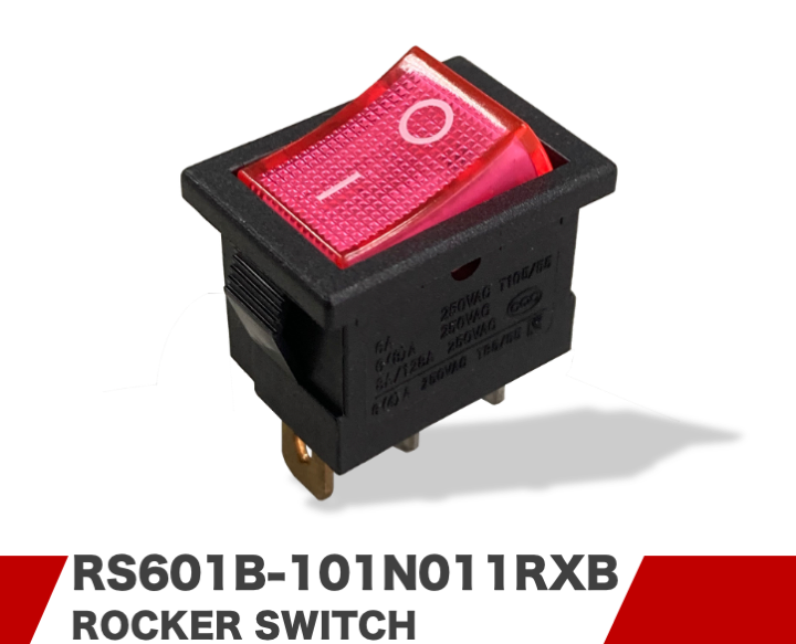 RS601B-101N011RXB
