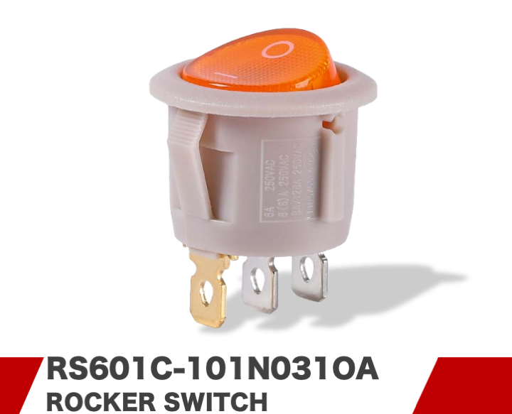 RS601C-101N031OA