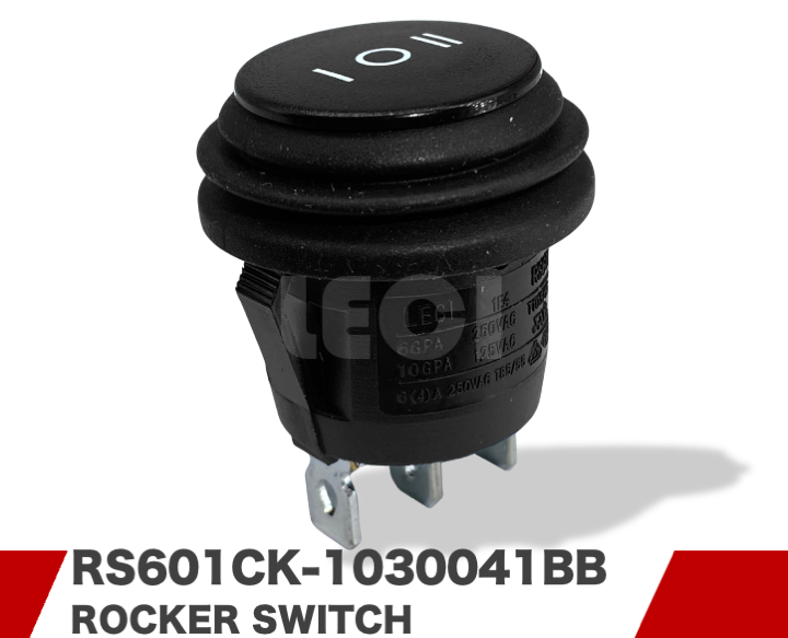RS601CK-1030041BB