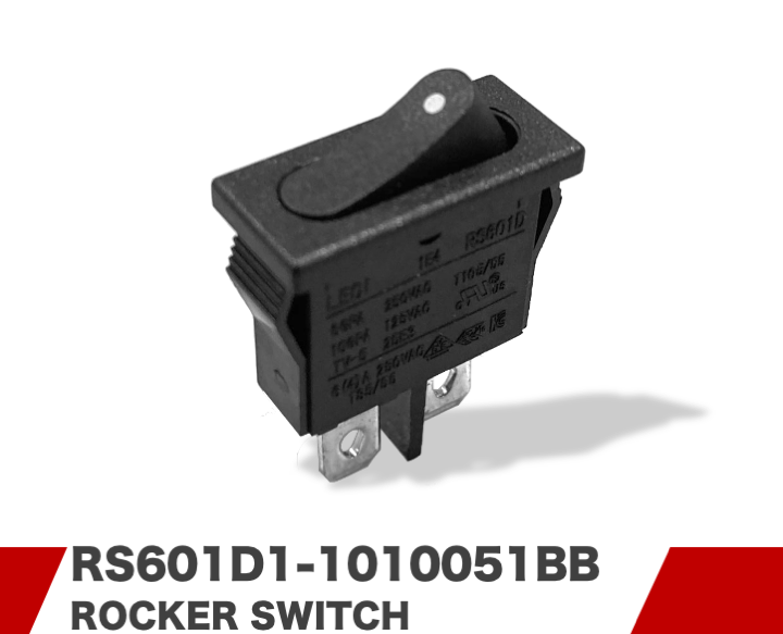 RS601D1-1010051BB