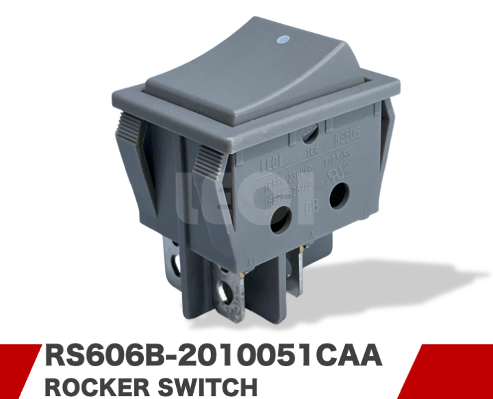 RS606B-2010051CAA