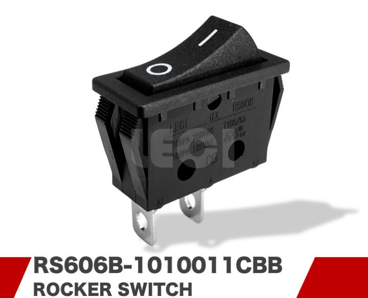 RS606B-1010011CBB
