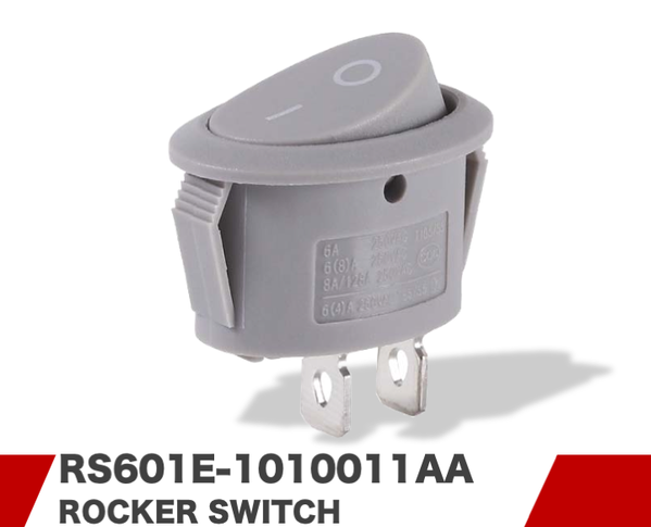 RS601E-1010011AA
