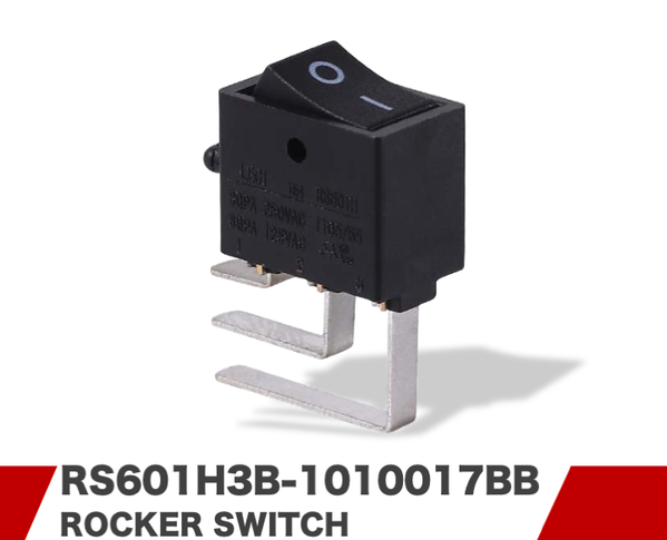 RS601H3B-1010017BB