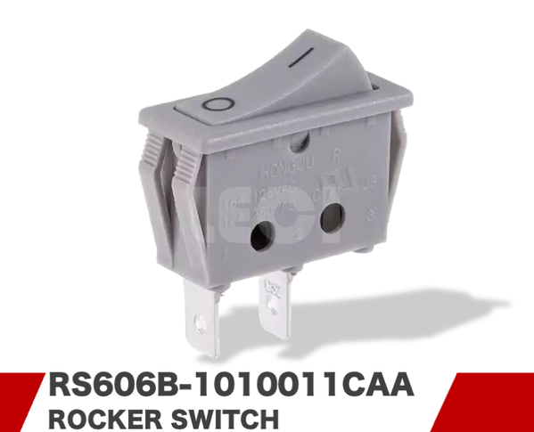 RS606B-1010011CAA