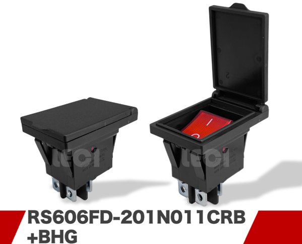 RS606FD-201N011CRB+BHG